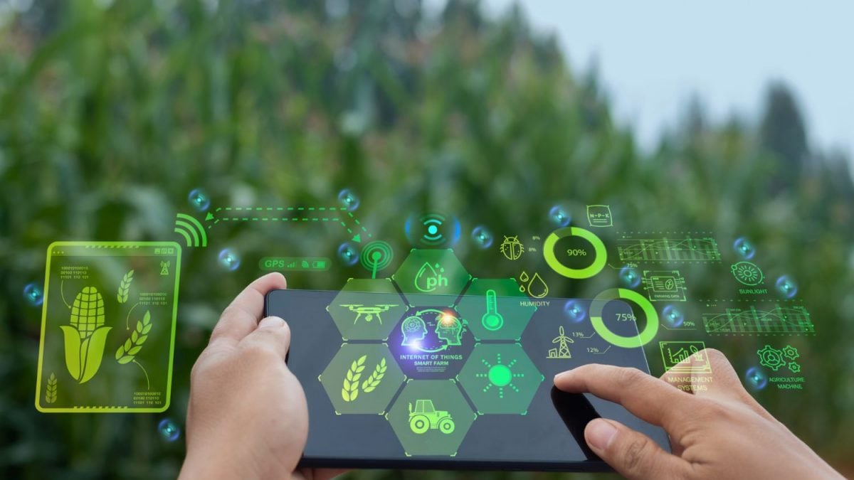 Rural Tech Report 2025 Aponta Nova Onda de Investimentos no Agro - Imagem do artigo original