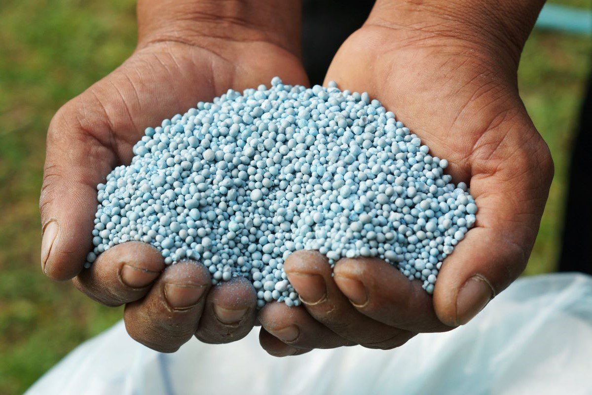 Alta De Fertilizizantes Eleva Custo Da Safra De Soja - Imagem do artigo original