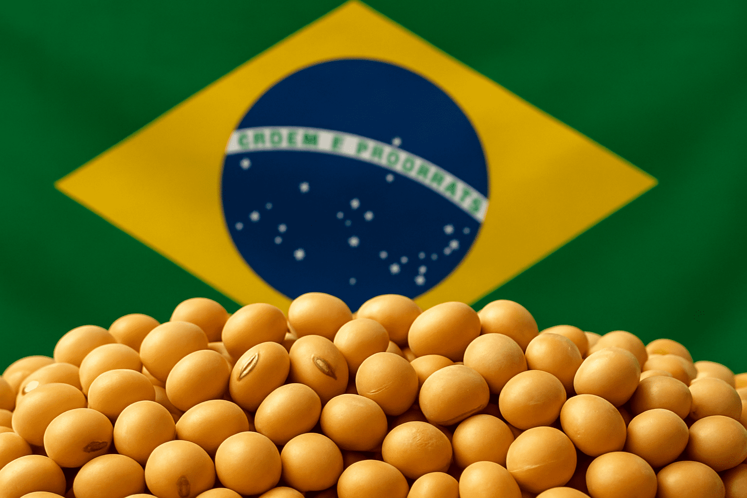 China Impulsiona Soja Brasileira e Pressiona EUA - Imagem do artigo original