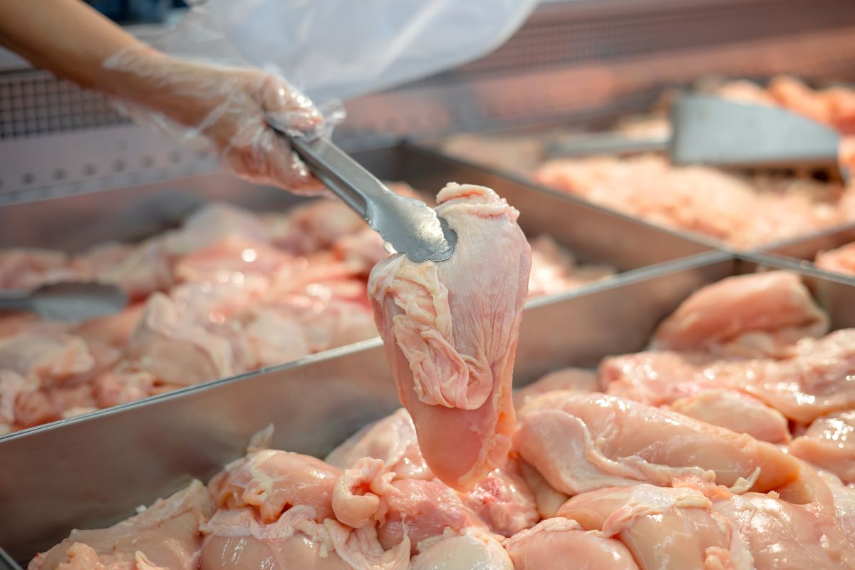 Argentina Suspende Exportações de Frango Após Gripe Aviária - Imagem do artigo original