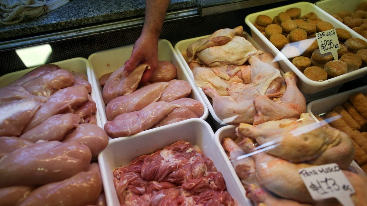 China Suspende Importação de Aves da Argentina - Imagem do artigo original
