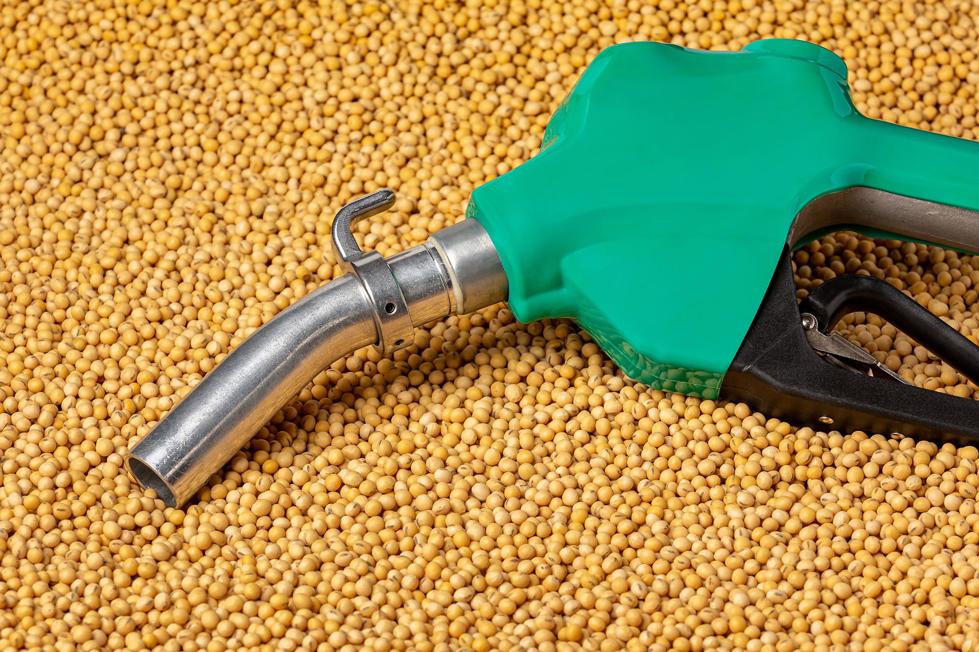 Frente Do Biodiesel Quer Expandir Exportação De Carnes - Imagem do artigo original