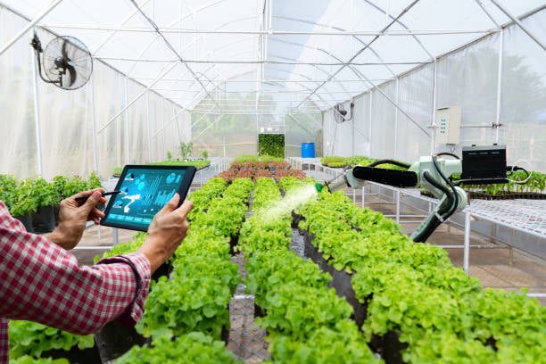 Cursos e Orientação Técnica Lideram Adoção de Tecnologia Rural - Imagem do artigo original