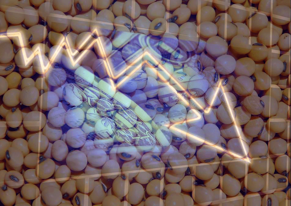 Preço de Commodities Cai e Aperta Produtor Brasileiro - Imagem do artigo original