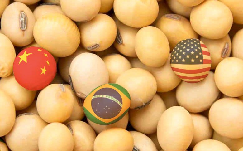 Soja Brasileira Disputa Espaço Com Safra dos EUA