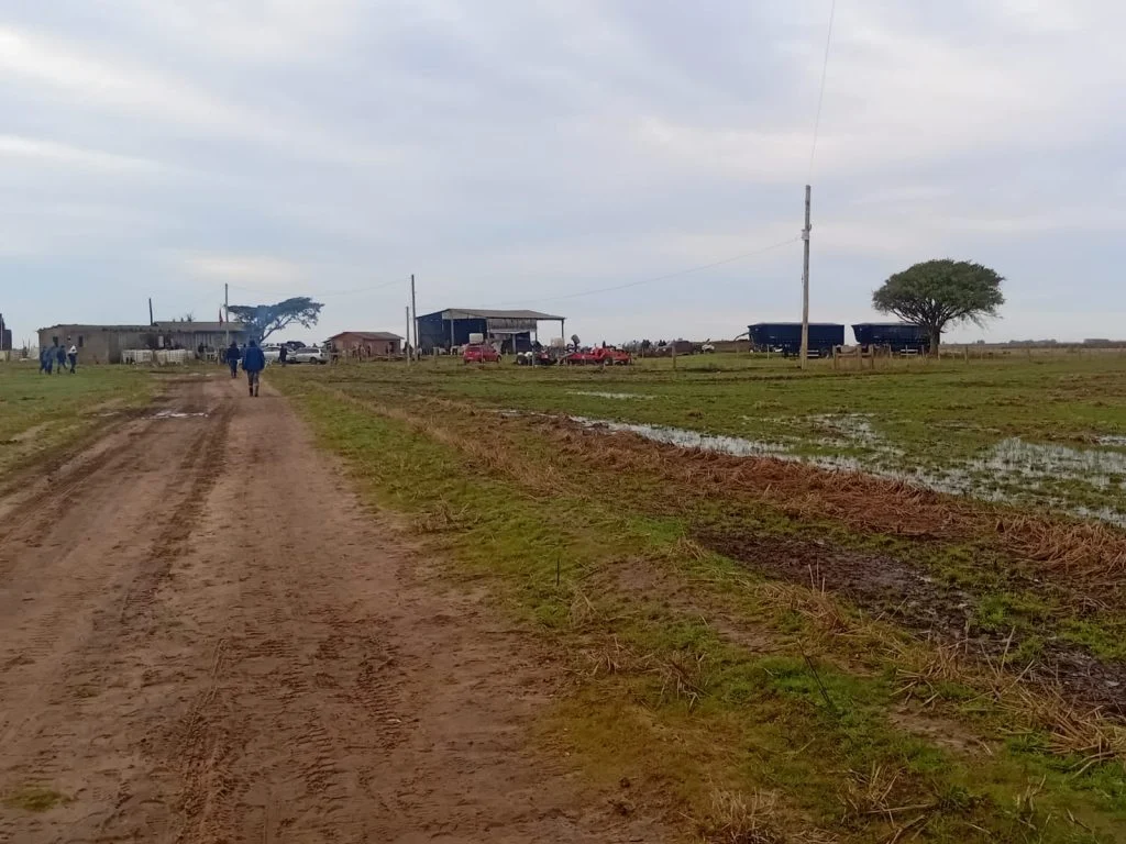 MST Ocupa Fazenda do Banco do Brasil no RS - Imagem do artigo original