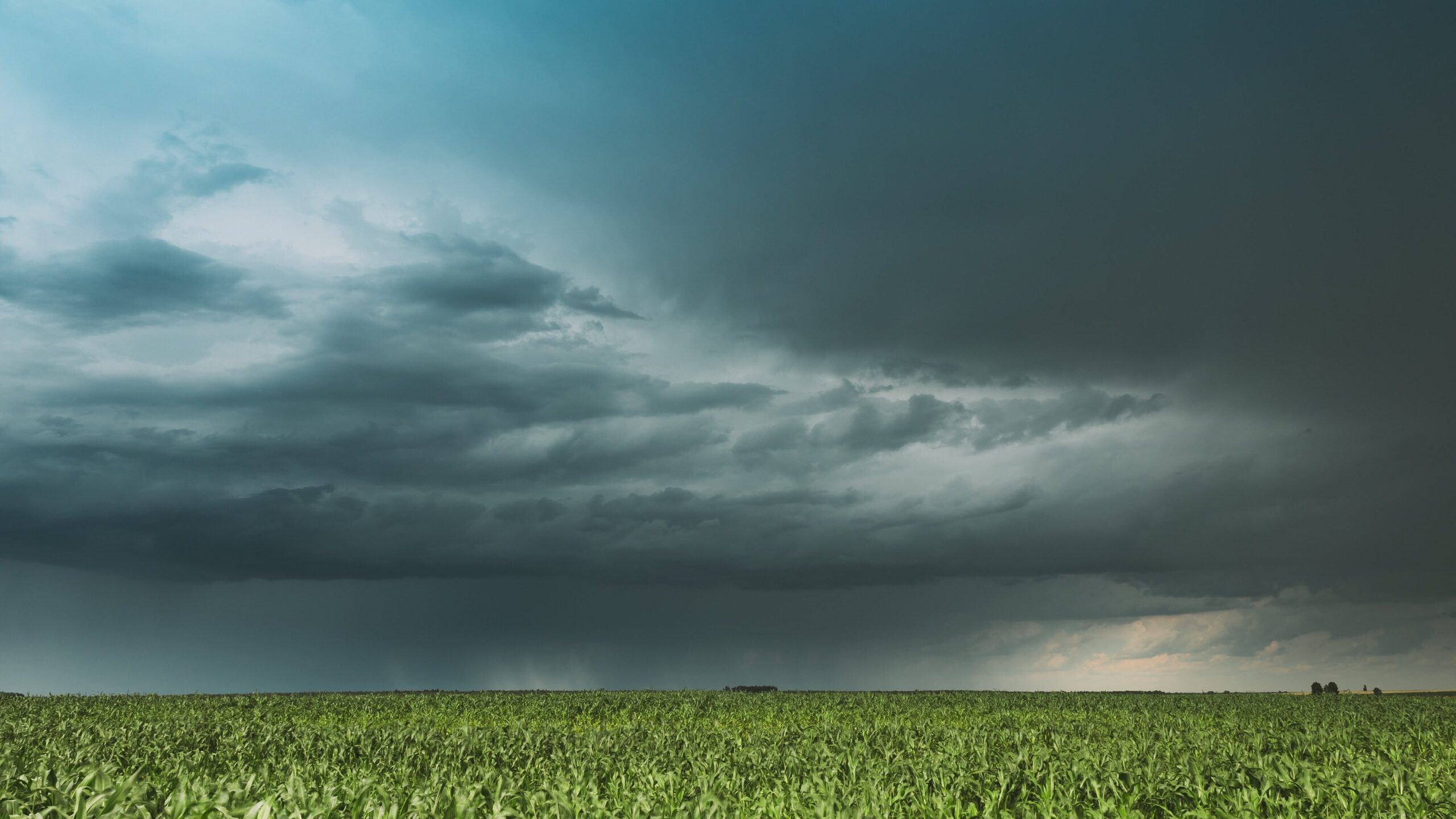 Tempo Instável Garante Chuva em Diversas Regiões Nesta Quarta - Imagem do artigo original