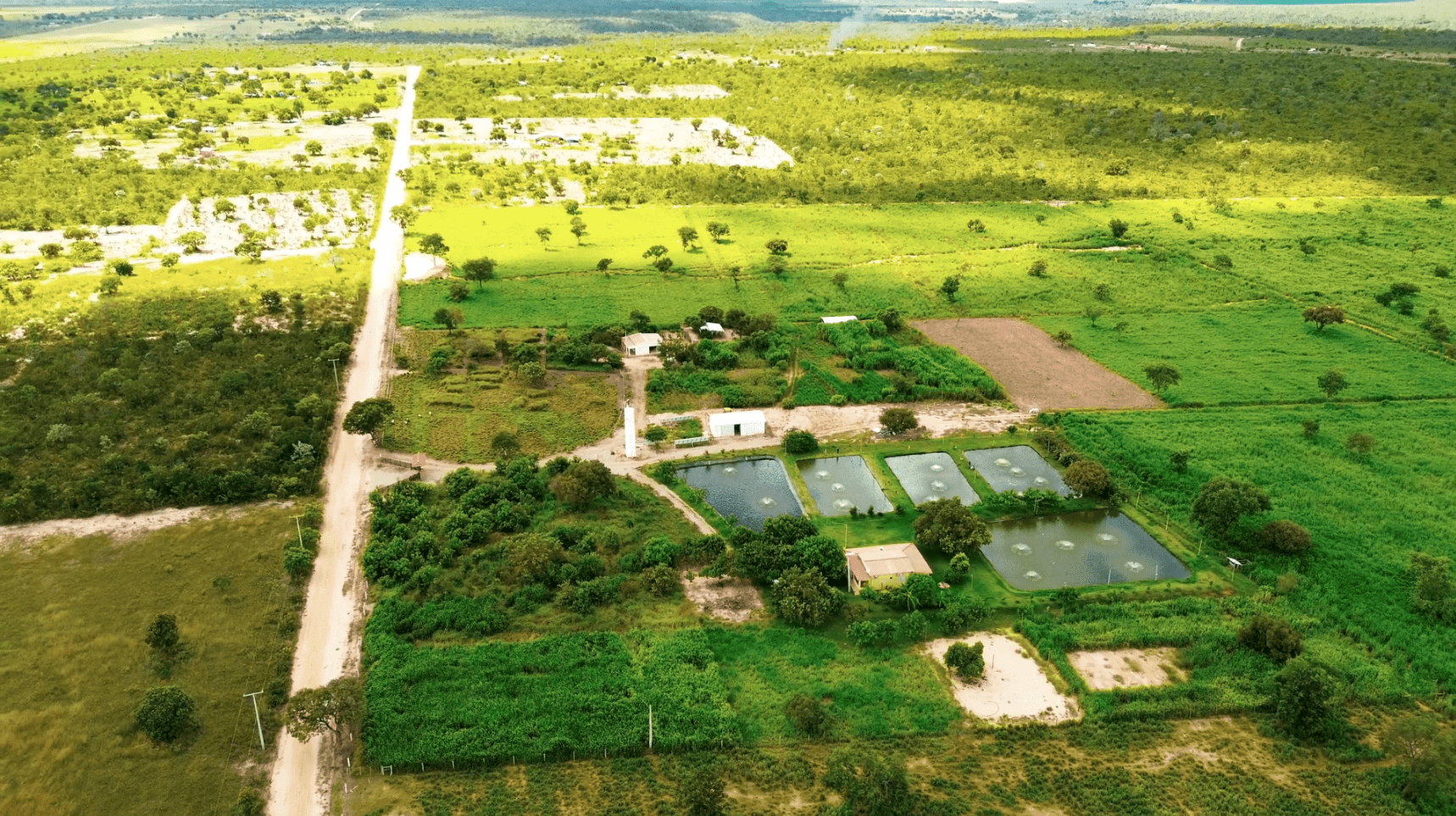Impasse Sobre Licenciamento Ambiental Após 63 Vetos de Lula - Imagem do artigo original