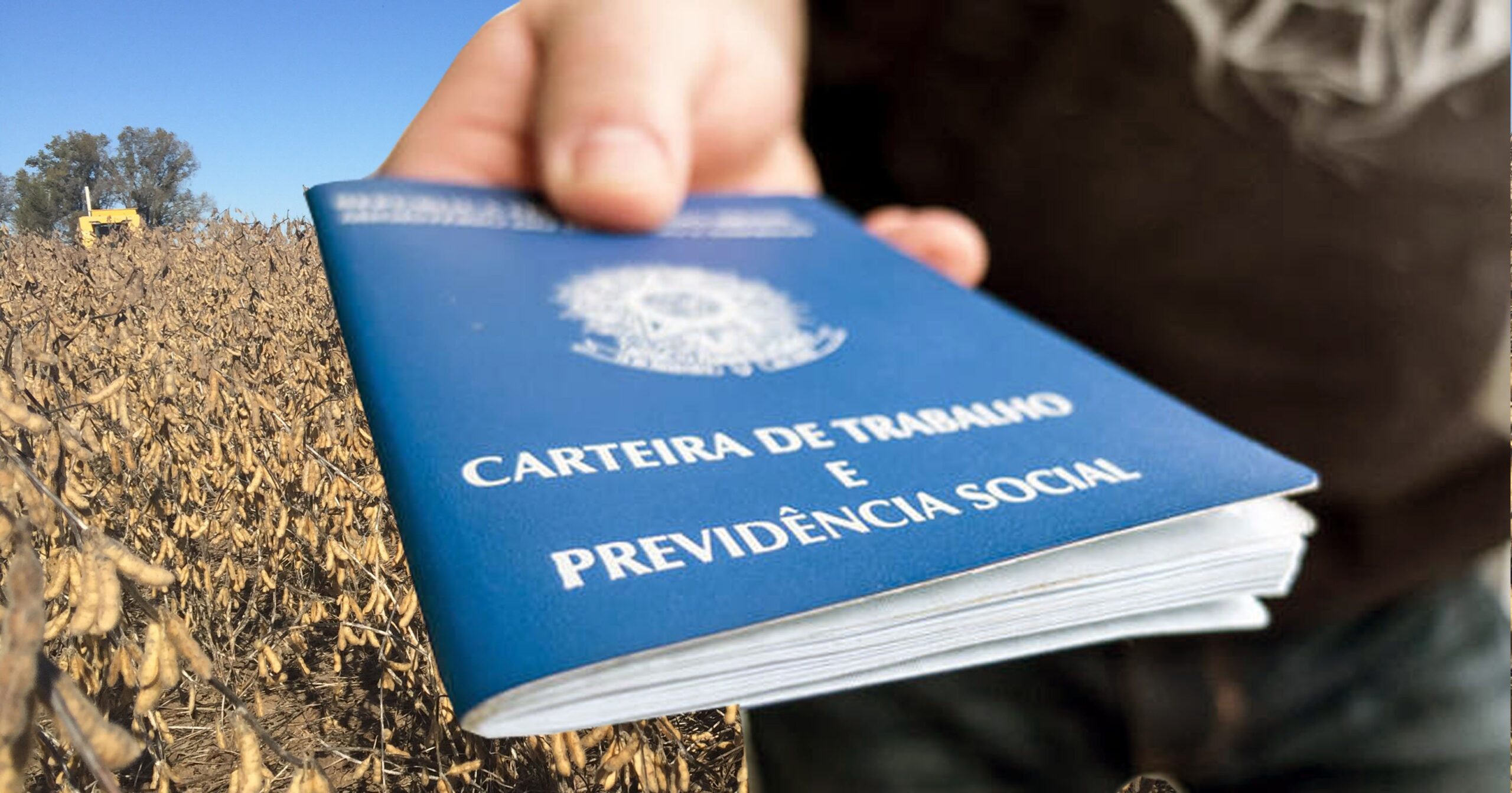 Brasil Cria 129,8 Mil Empregos Formais em Julho - Imagem do artigo original
