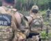 PF Erradica 8 Mil Pés de Maconha no Interior do Amazonas