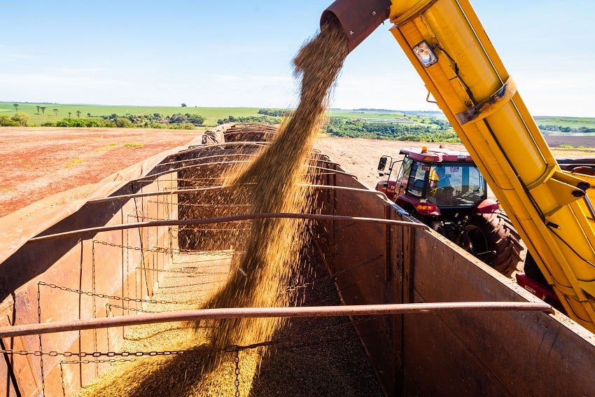 Produção De Soja Deve Crescer 3,1% Na Safra 2025/26 - Imagem do artigo original