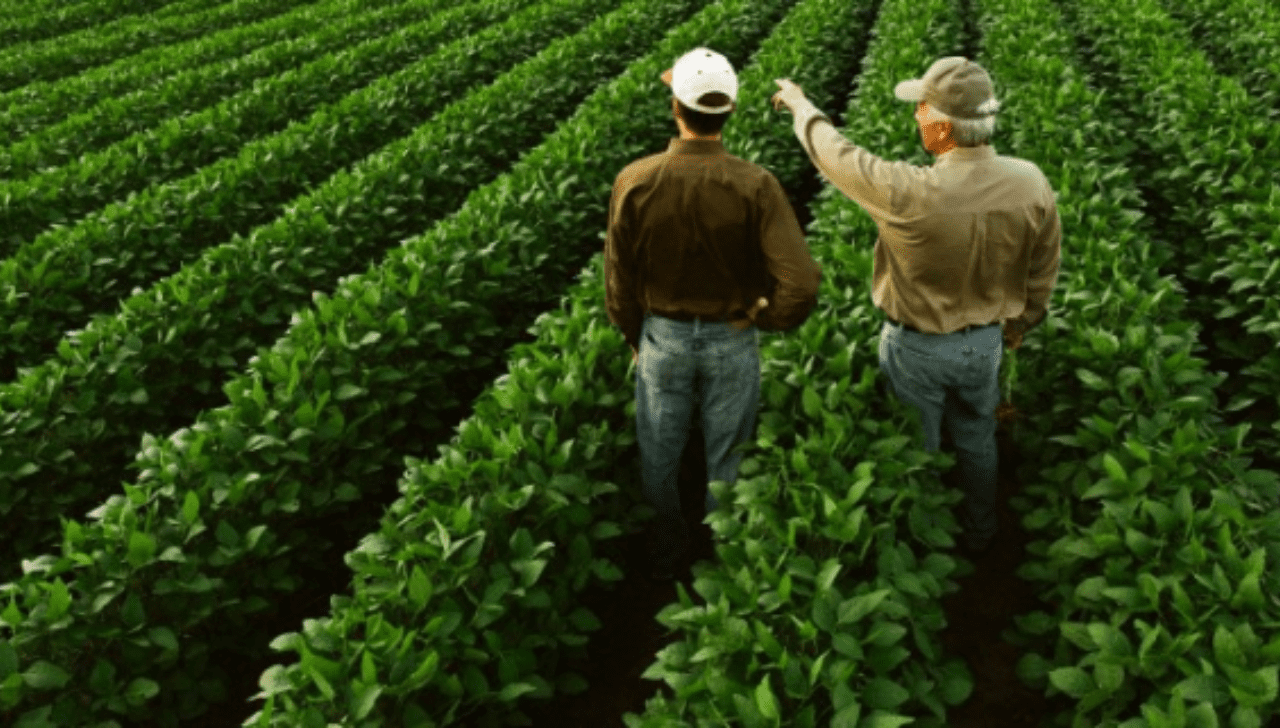 Sucessão Familiar no Campo Preocupa 38% dos Produtores