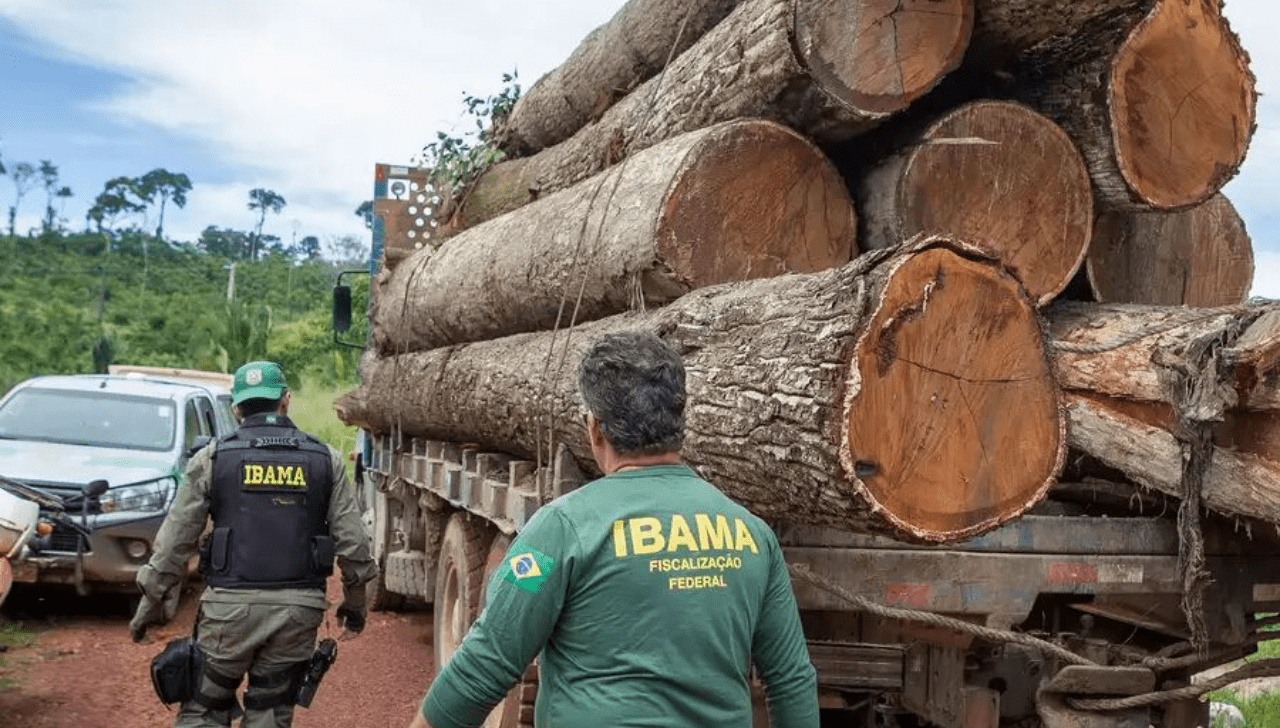Ibama Impõe Multa de R$ 320 Mil por Madeira Ilegal
