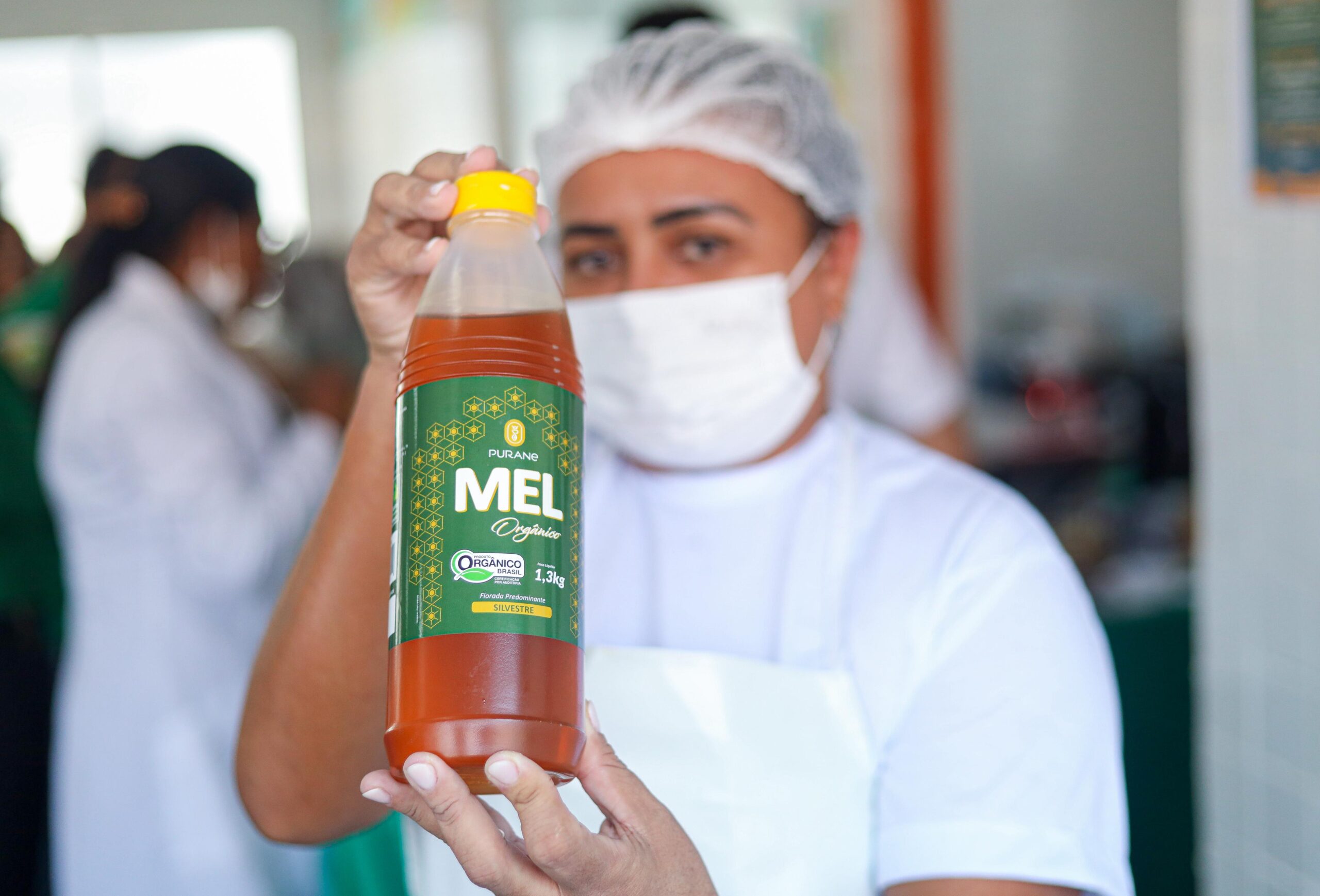 Piauí Compra 11 Toneladas de Mel Para Merenda Escolar - Imagem do artigo original