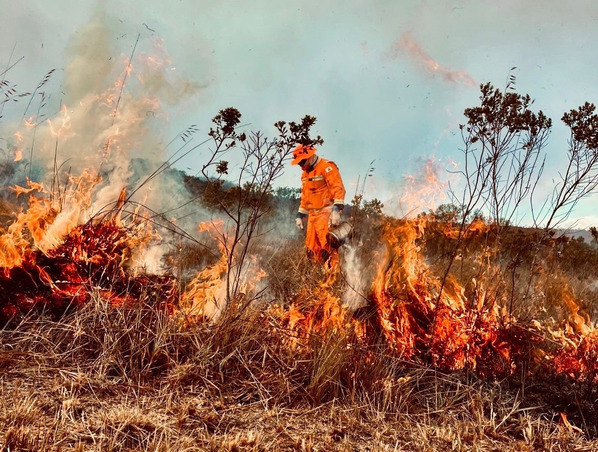 Governo Define Regras Para Prevenir Incêndio Rural - Imagem do artigo original