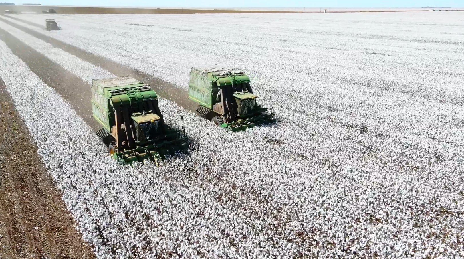 Agro Puxa PIB Anual com Alta de 10,1% em 12 Meses - Imagem do artigo original