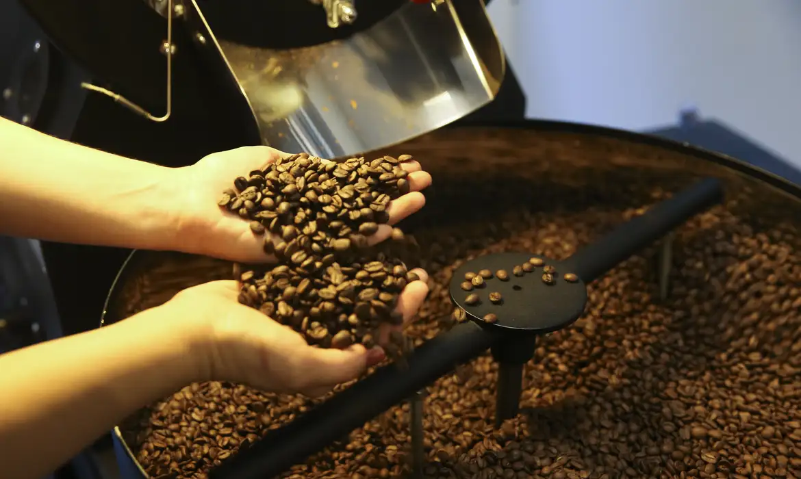 Conab Prevê 55,2 Milhões de Sacas de Café em 2025 - Imagem do artigo original