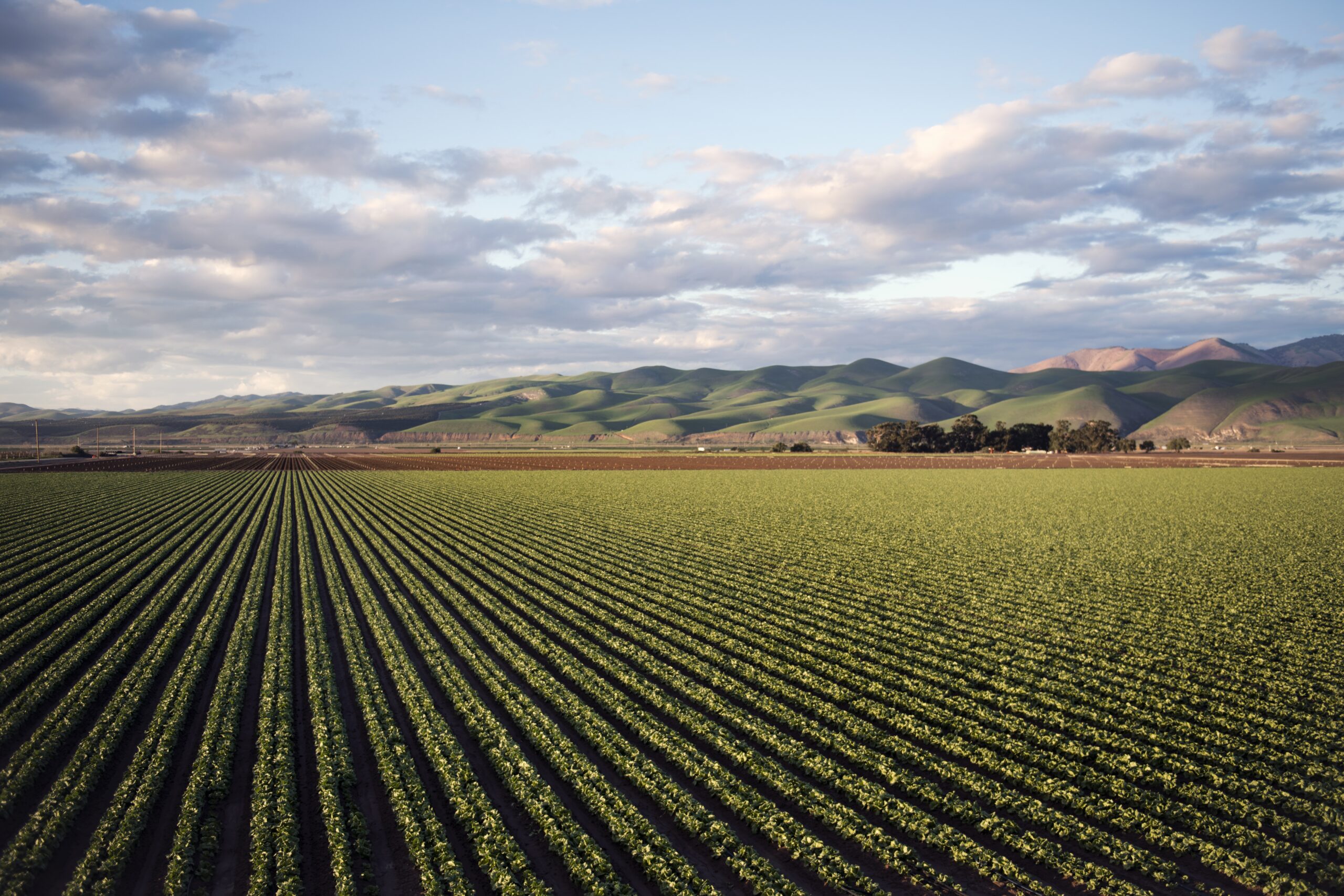 Agricultura Centraliza Protocolos de Novos Defensivos a partir de 2025