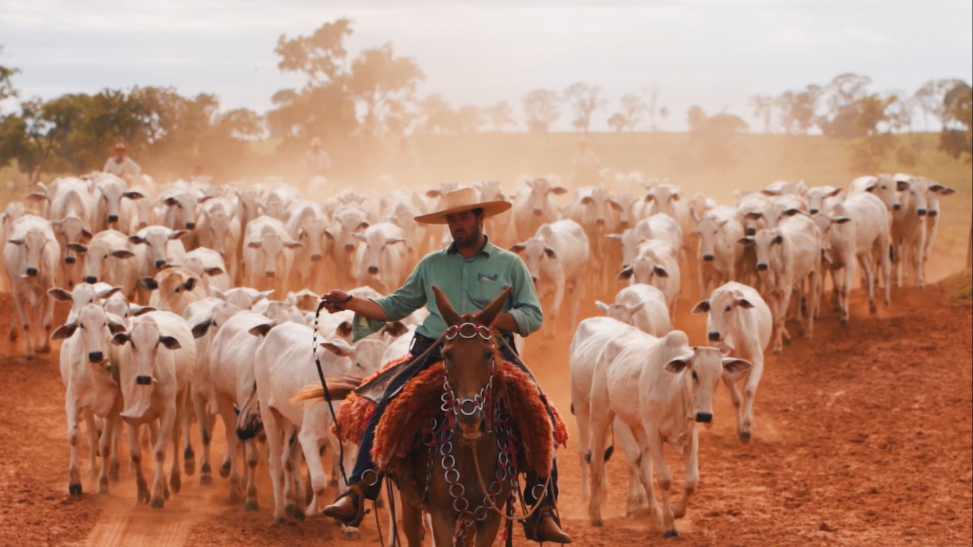 ASBIA Projeta Brasil Líder Mundial em Carne Bovina - Imagem do artigo original
