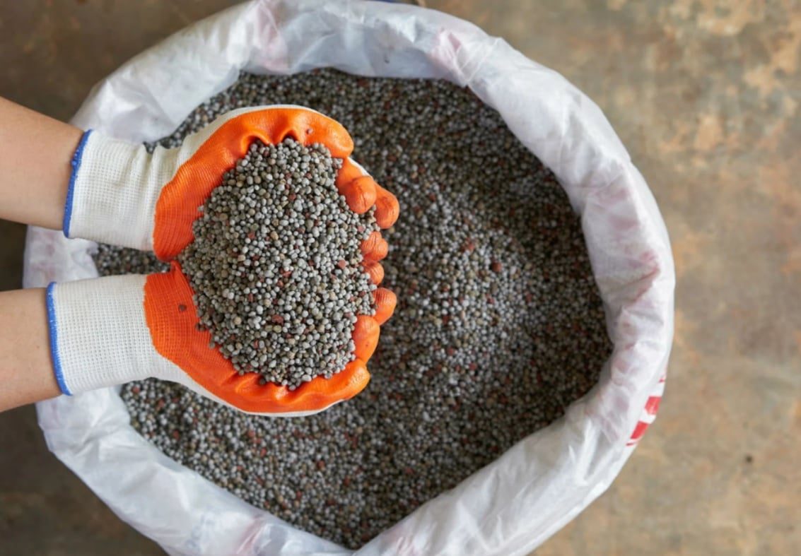 Dependência de Fertilizantes Acende Alerta no Agro - Imagem do artigo original
