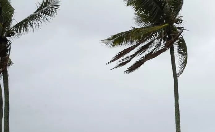 Ciclone Extratropical Leva Temporais e Granizo ao Sul - Imagem do artigo original