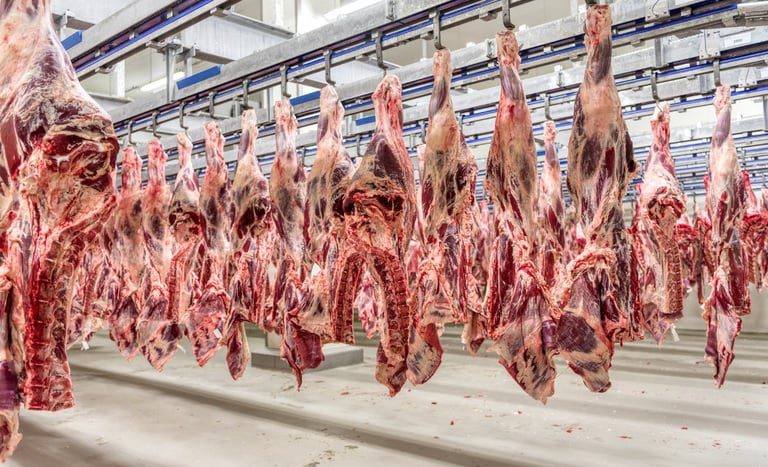 Indonésia Habilita Mais 17 Frigoríficos Brasileiros