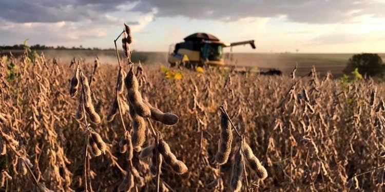 China Aumenta Compra de Soja Brasileira e reduz dos EUA