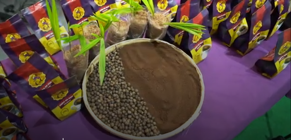 Café de Açaí do ES Ganha Mercado Nacional - Imagem do artigo original
