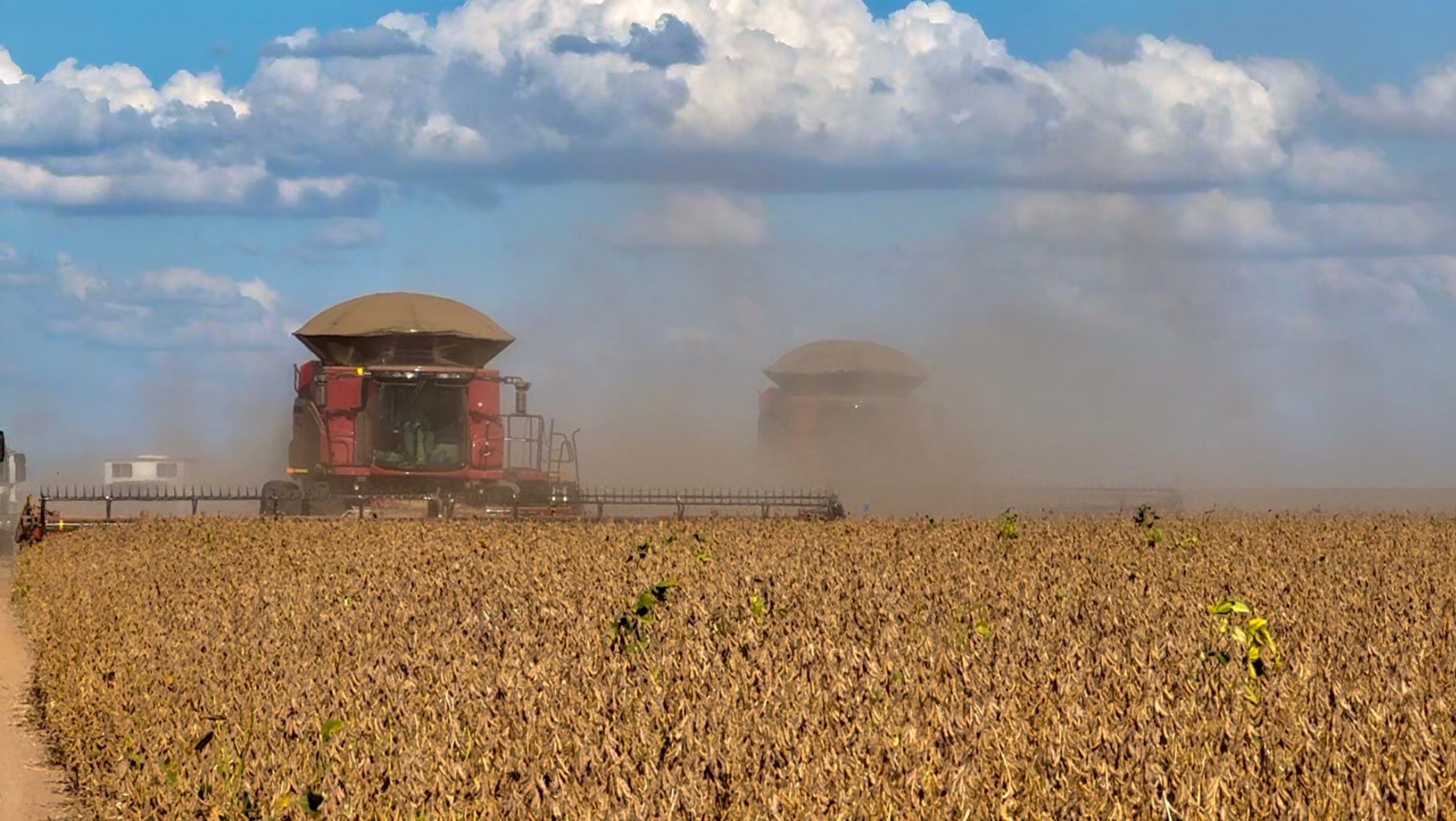 Agro Puxa Alta de 3,54% do IBC-Br em 12 Meses até Julho - Imagem do artigo original