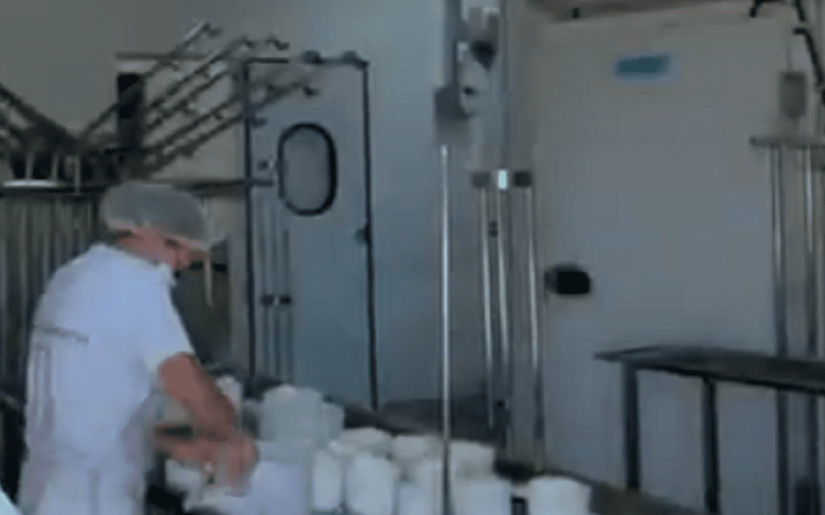 Queijo Serrado de Guapó Conquista 3º Lugar Nacional - Imagem do artigo original