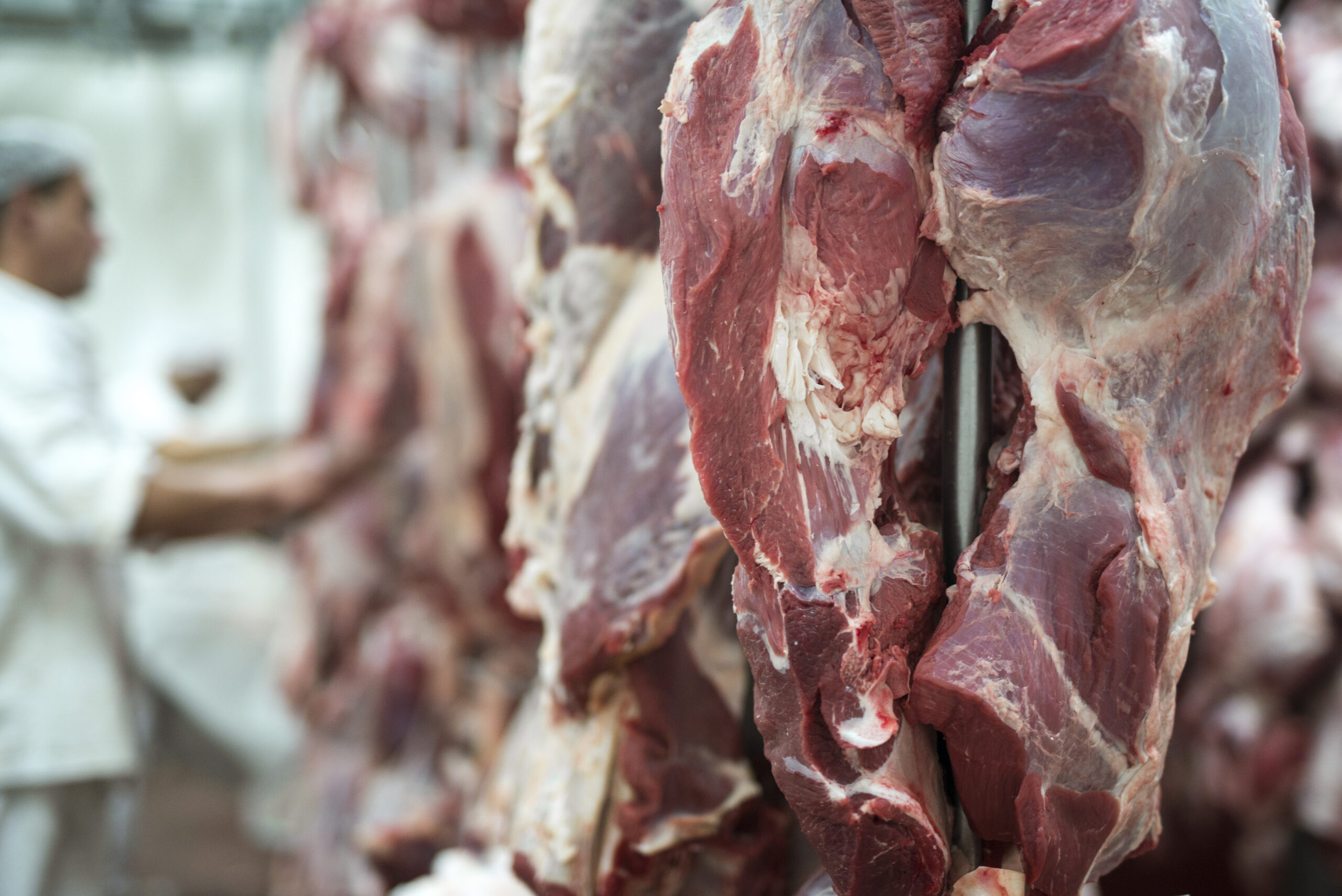 Acordo Mercosul-EFTA Zera Tarifas para Carne e Café - Imagem do artigo original