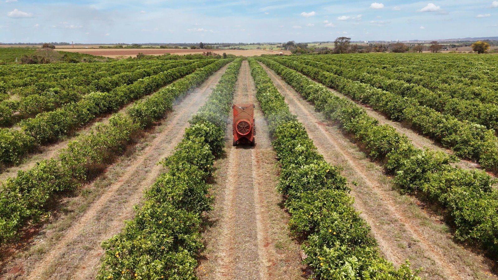 Fertilizantes Foliares Da Yara Elevam Produtividade No Campo - Imagem do artigo original