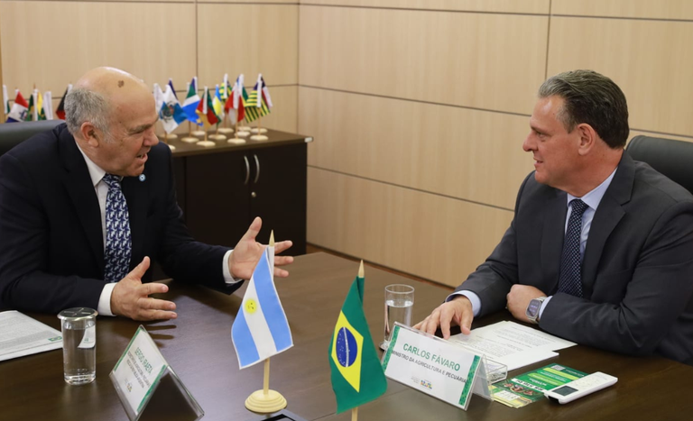 Brasil e Argentina Negociam Protocolo para Carne de Frango - Imagem do artigo original