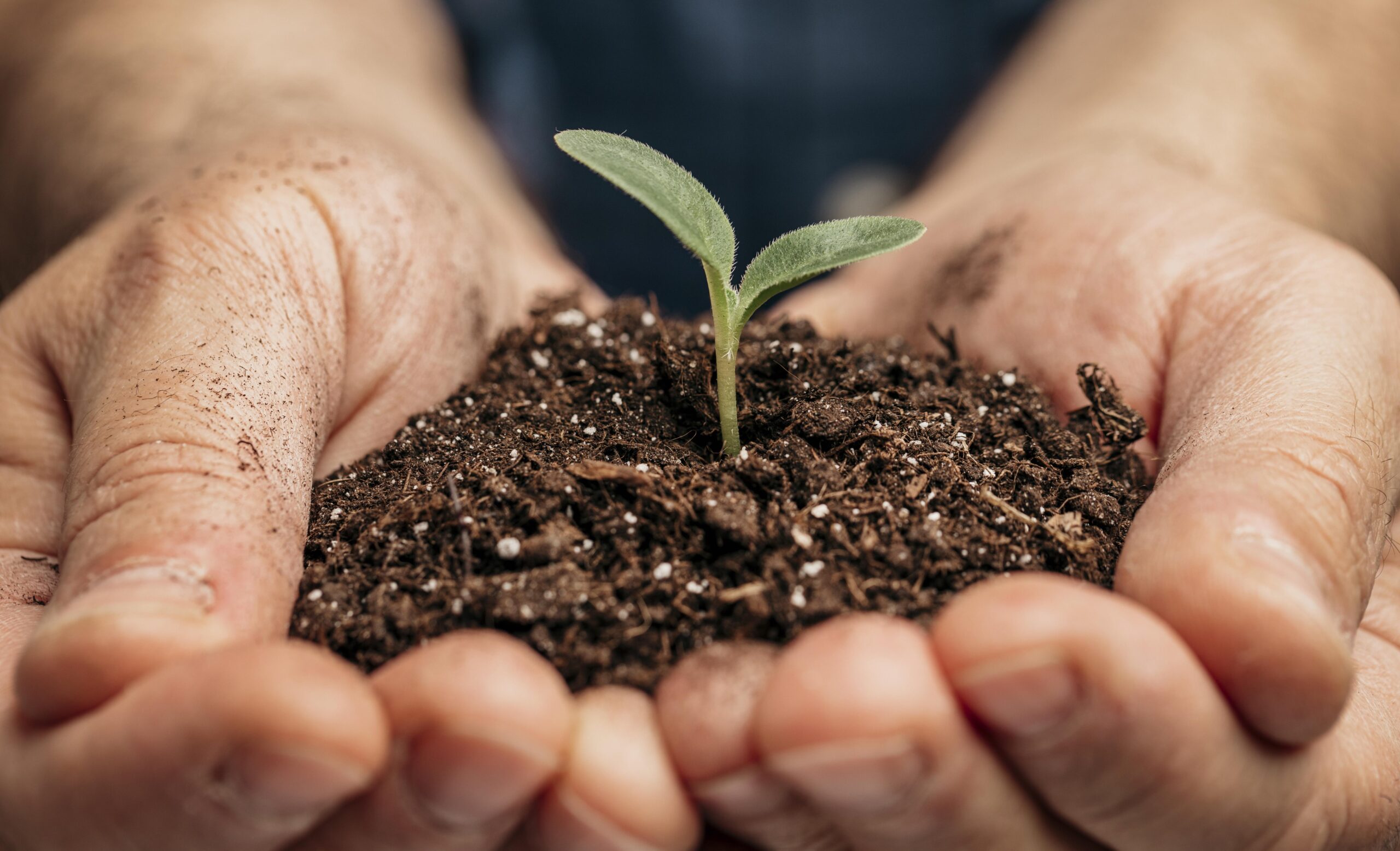 Brasil e Reino Unido Assinam Memorando de Fertilizantes - Imagem do artigo original