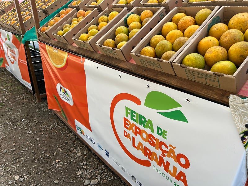 Laranja de Tanguá Destaca-se em Concurso no RJ - Imagem do artigo original