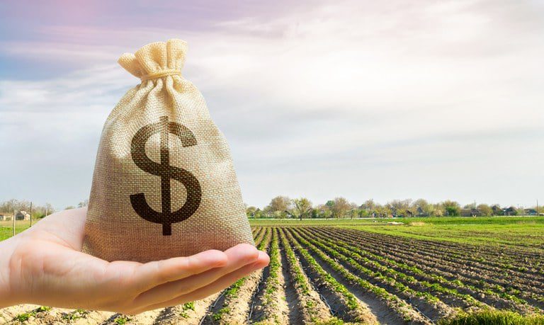 Crédito Rural Cai 8% no Início do Plano Safra 2025/26