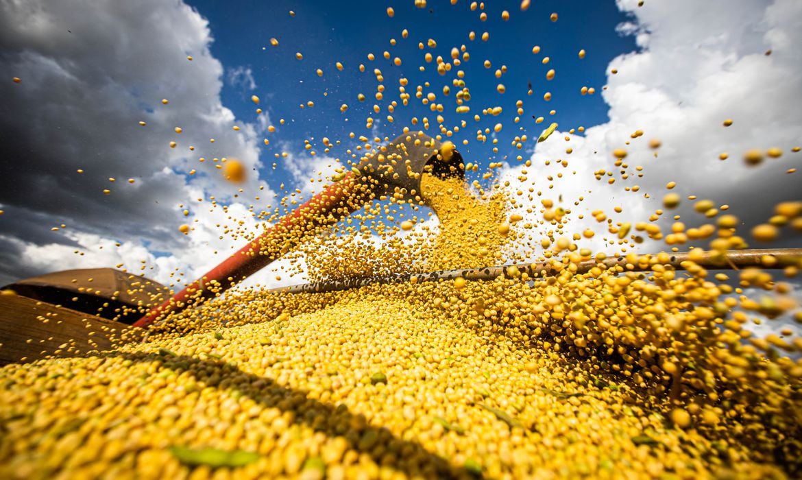 USDA e Conab Projetam Oferta Recorde de Soja em 25/26 - Imagem do artigo original