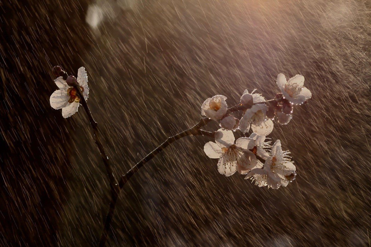 Frente Fria Traz Chuva e Queda de Temperaturas no País - Imagem do artigo original