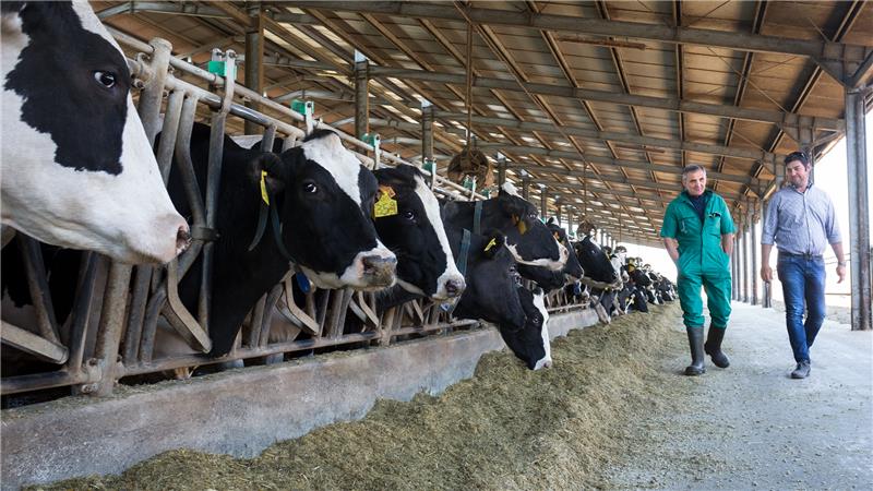 Zoetis Apresenta Farmácia da Pecuária ao Produtor - Imagem do artigo original