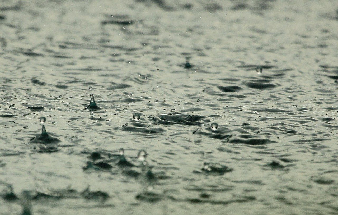 Previsão De Chuva Define Calendário Do Plantio De Soja - Imagem do artigo original