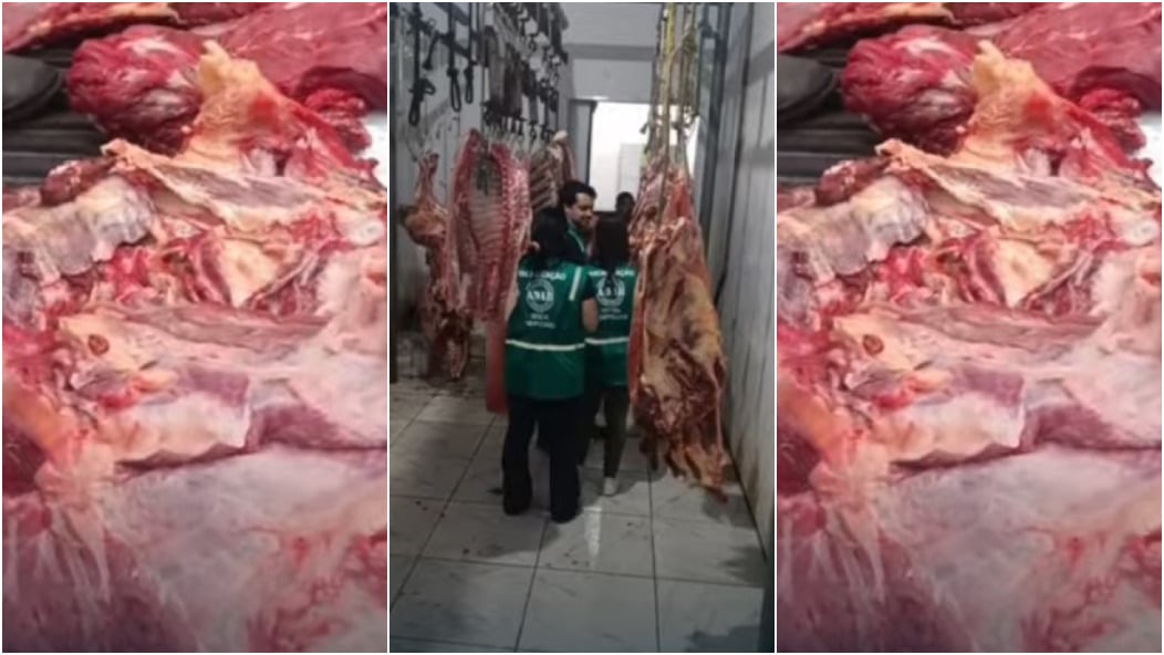 Adab Apreende 100 kg de Carne com Suspeita de Tuberculose - Imagem do artigo original