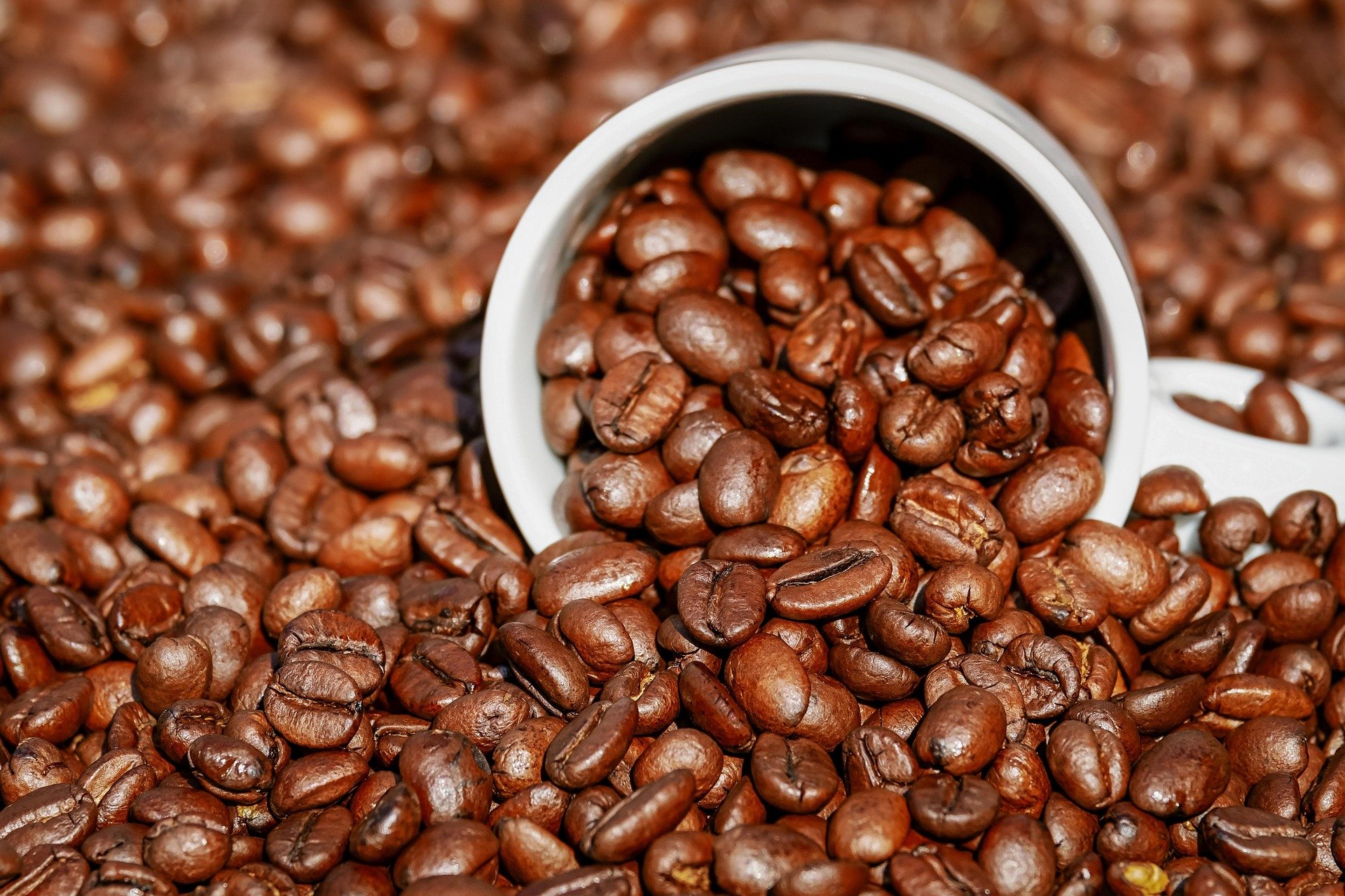 Preço do Café Pode Subir Até 15% nas Próximas Semanas - Imagem do artigo original