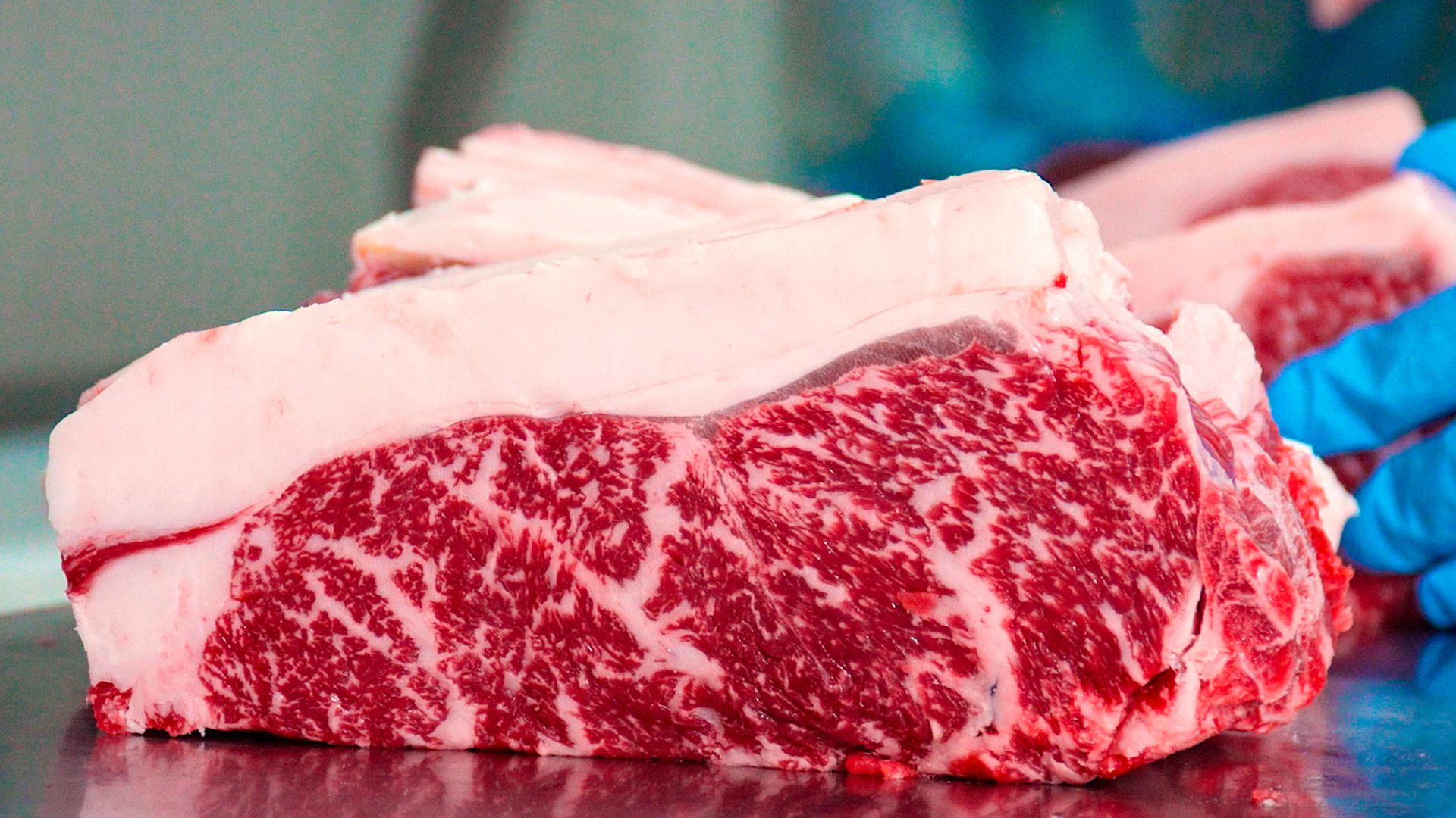 Guidara Leiloa Carne Wagyu de Marmoreio 12 para Hospital do Amor - Imagem do artigo original