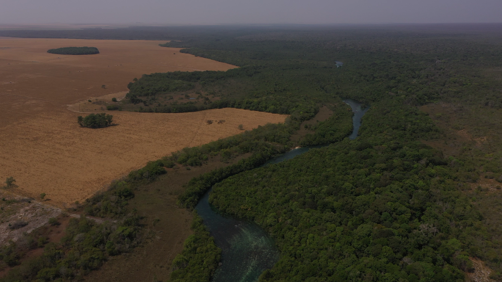Produtores Mantêm Preservação Após Término do Projeto Conserv - Imagem do artigo original