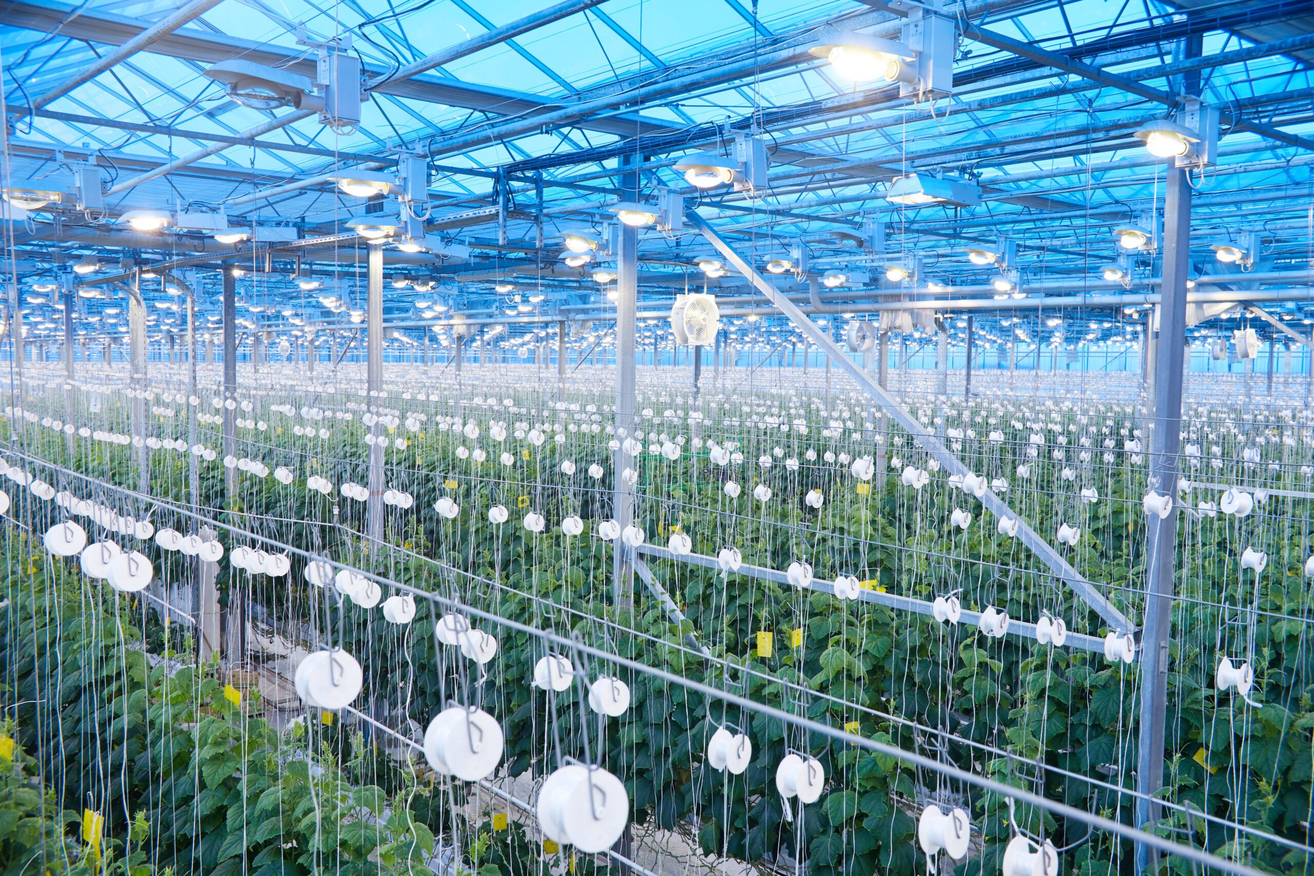 Embrapa Lança 1º Simpósio de Agricultura Espacial - Imagem do artigo original