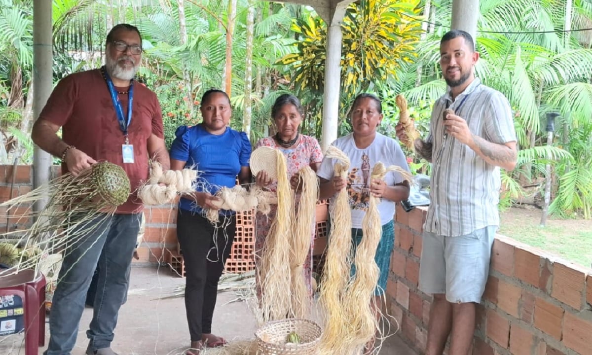 Warao Fecham Acordo para Usar Buriti em Artesanato no Pará - Imagem do artigo original