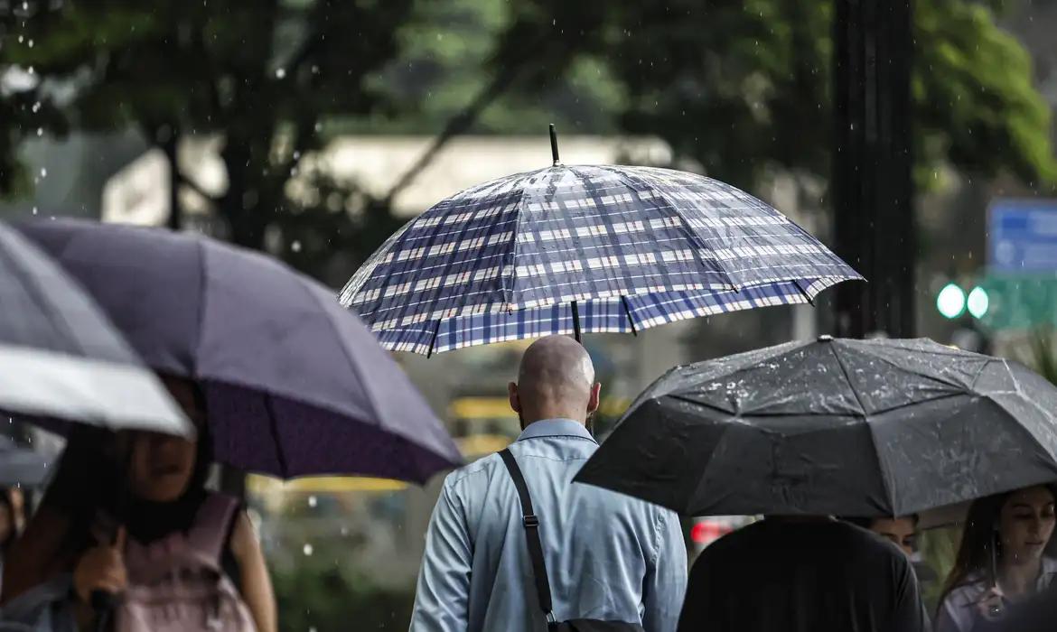 Chuva Retorna ao Sul; Sudeste Registra Umidade Crítica - Imagem do artigo original