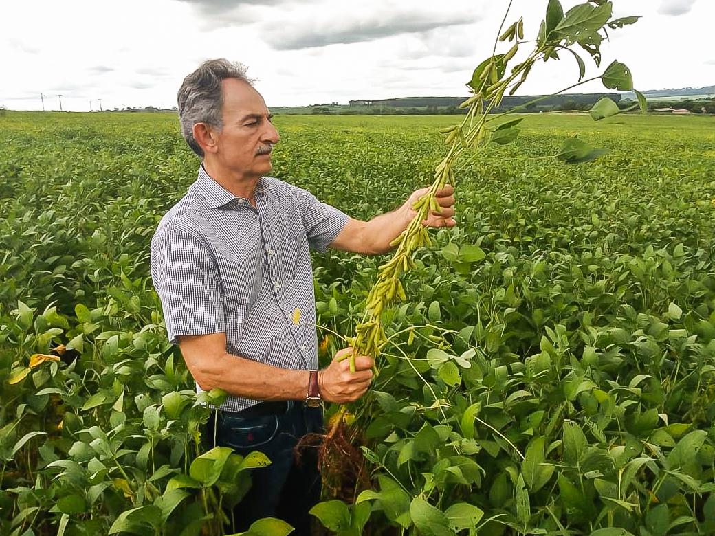 Goiás Inicia Plantio da Soja 2025/2026 - Imagem do artigo original
