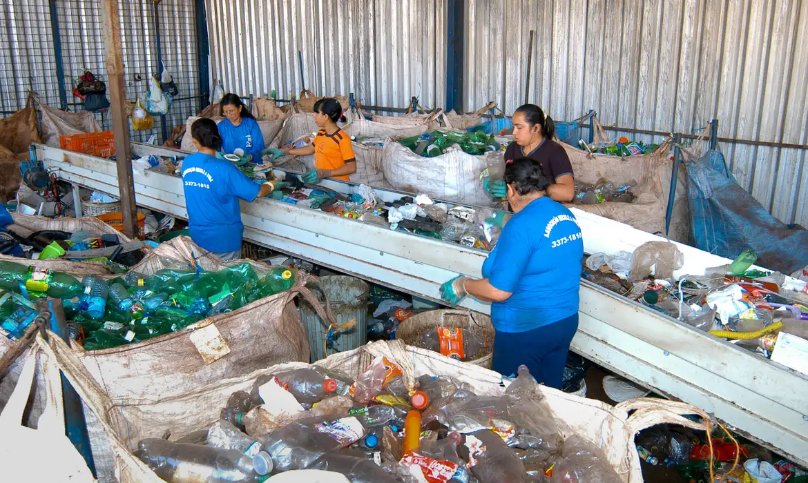 Produção de Plástico Reciclado Sobe 7,8% em 2024 - Imagem do artigo original
