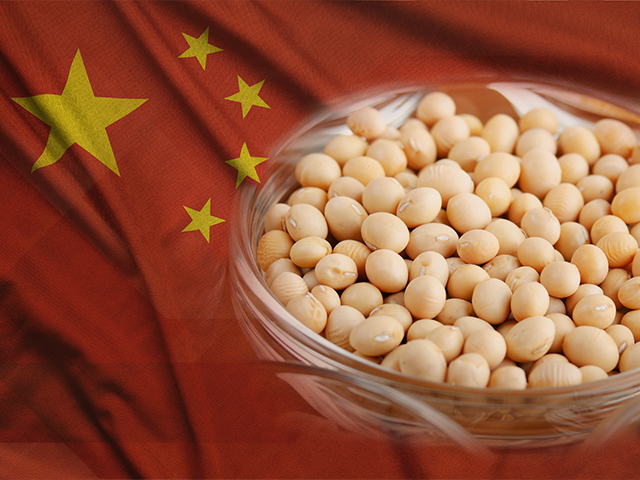 China Pode Ampliar Compra de Soja do Brasil, Diz Analista - Imagem do artigo original